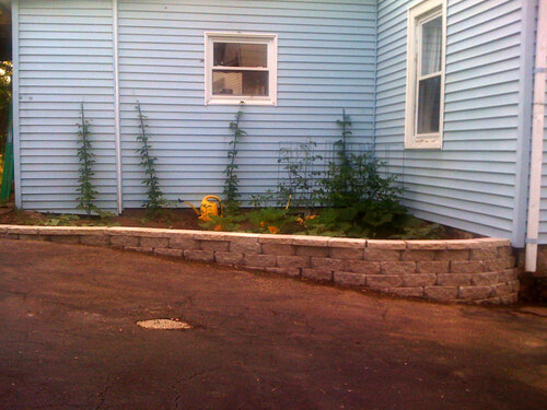 6_finished_wall