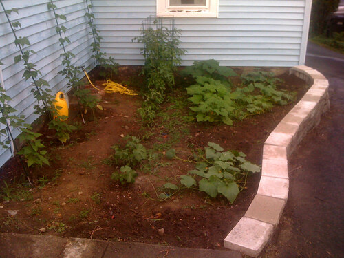 7_gardenful