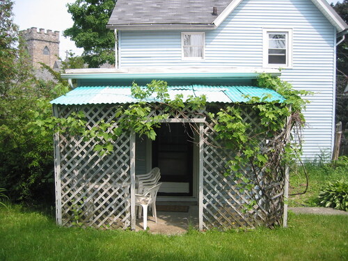 Back shed 1