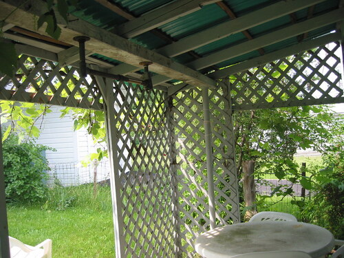 Back shed before