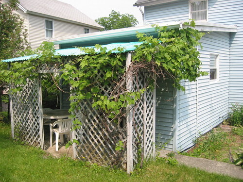 Back shed before