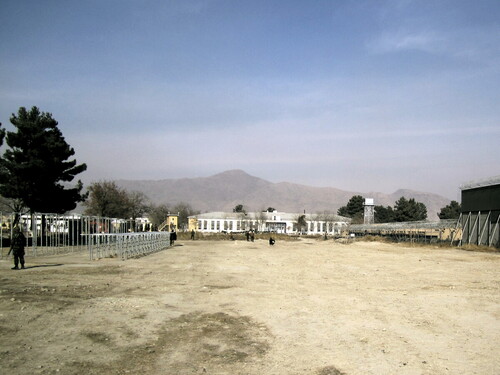 cricket with guard