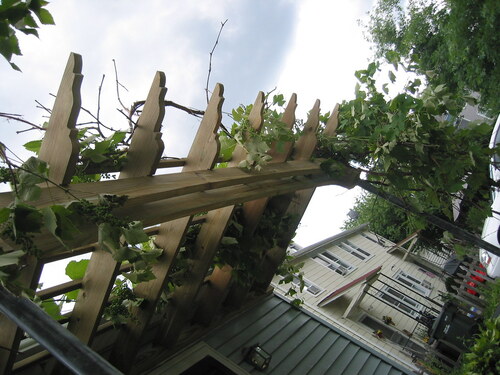 Decorative tails on rafters