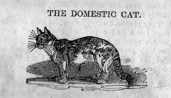 Page from an old book.