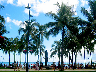 Waikiki street.