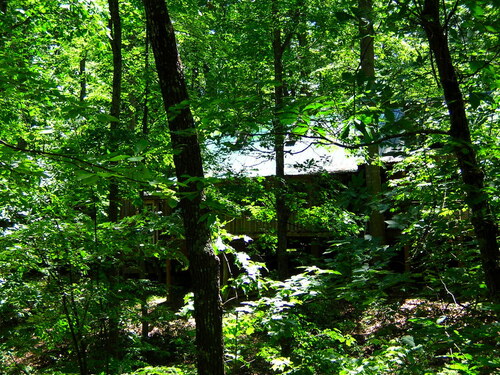 moss_hill_back