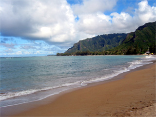 More Hawaii shore.