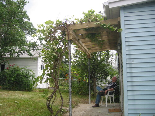 Side shot of dad and vine